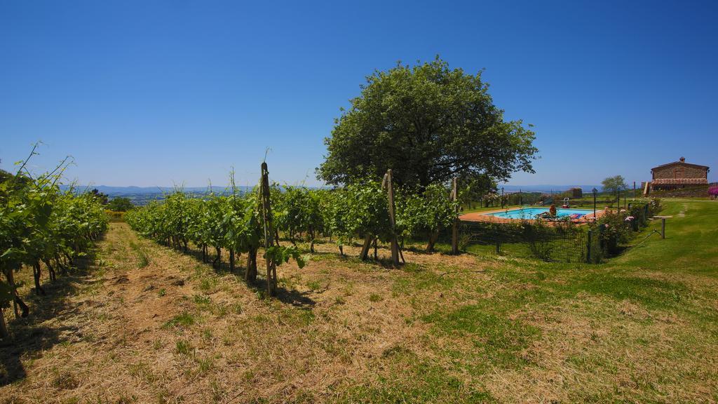 Tenuta Angelici Winery Casa Contea With Pool And Panoramic Pool Cortona Villa Terontola Szoba fotó